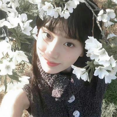 琴与罗莎
